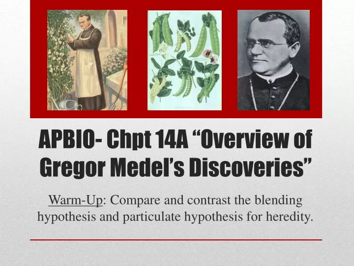 apbio chpt 14a overview of gregor medel s discoveries