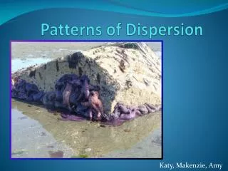 Patterns of Dispersion