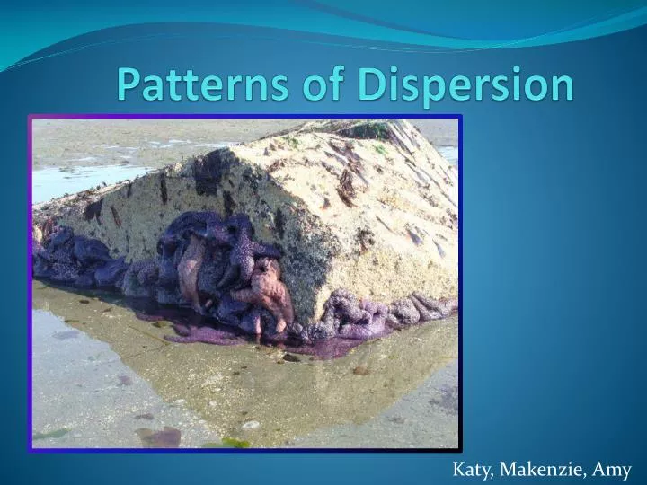 patterns of dispersion
