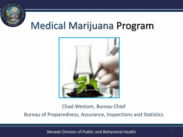 medical marijuana program