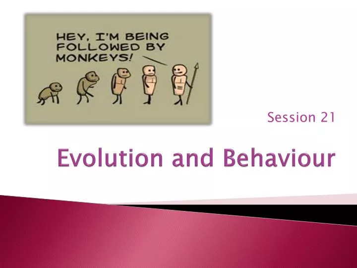 evolution and behaviour