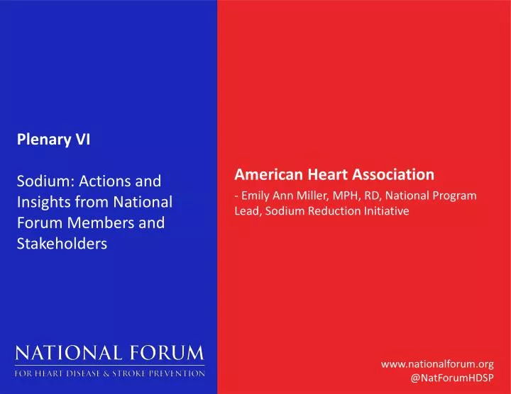 plenary vi sodium actions and insights from national forum members and stakeholders