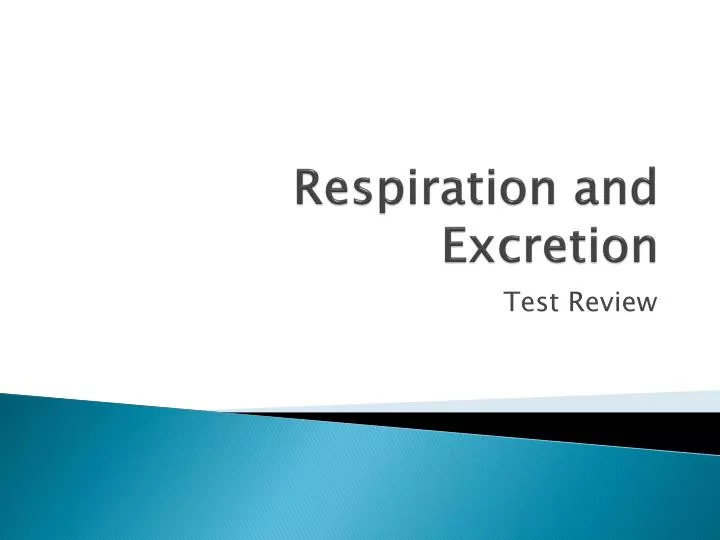 respiration and excretion