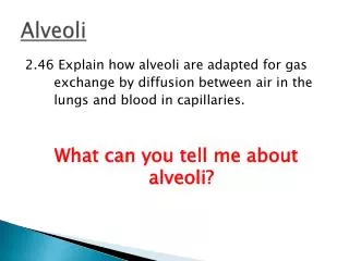 alveoli