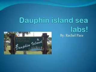 Dauphin island sea labs!
