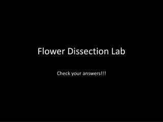 Flower Dissection Lab