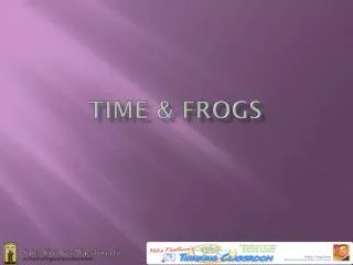 Time &amp; frogs