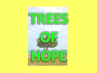 TREES OF HOPE