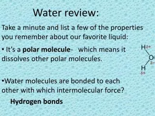 Water review: