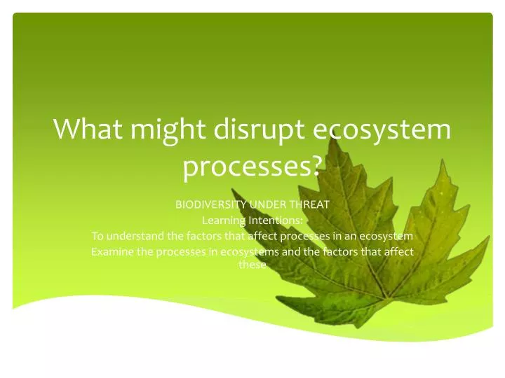 what might disrupt ecosystem processes