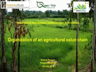 INVESTING IN SUSTAINABLE AGRICULTURE IN MYANMAR Organization of an agricultural value chain