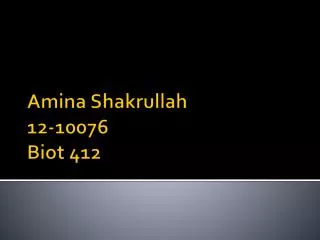 A mina Shakrullah 12-10076 Biot 412