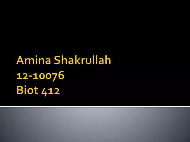 a mina shakrullah 12 10076 biot 412