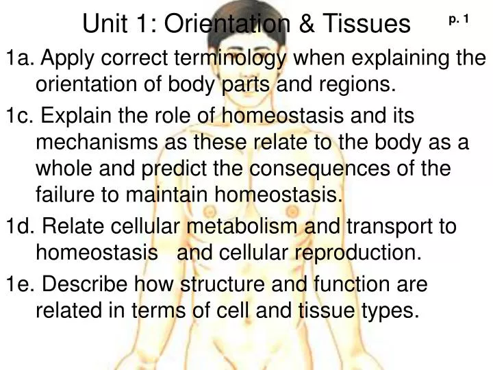 unit 1 orientation tissues