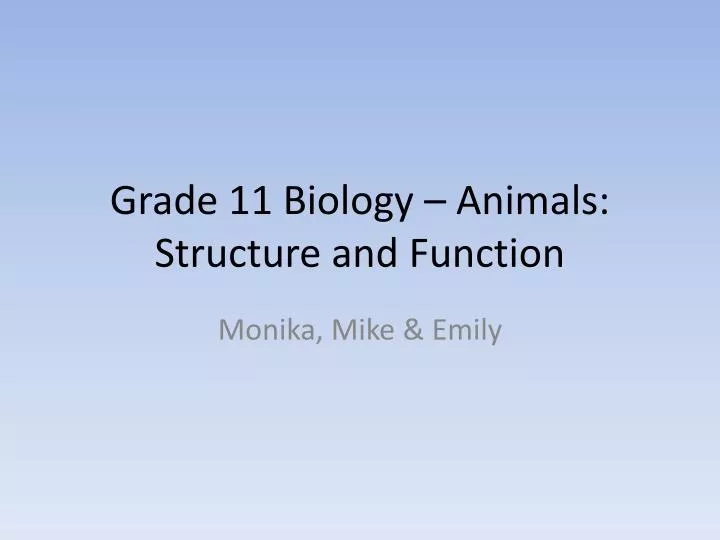 grade 11 biology animals structure and function