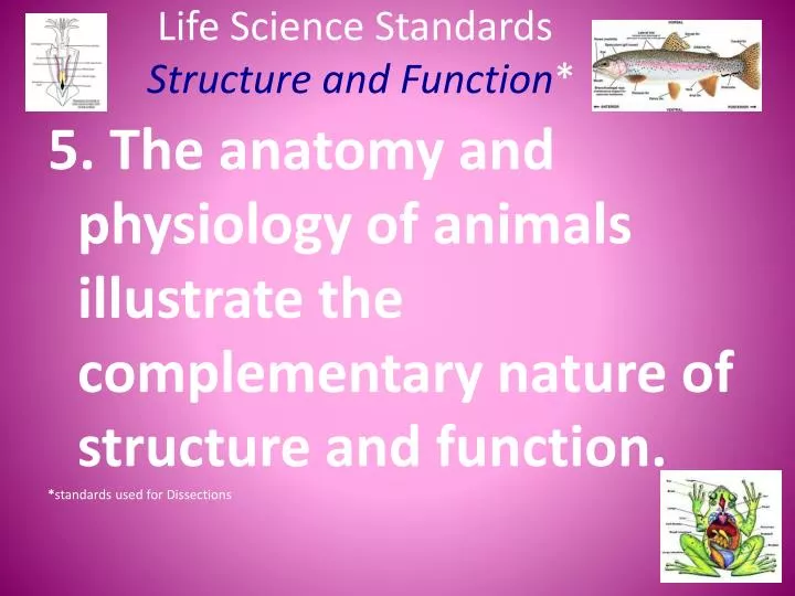 life science standards structure and function