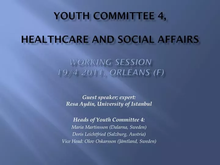 youth committee 4 healthcare and social affairs working session 19 4 2011 orl ans f