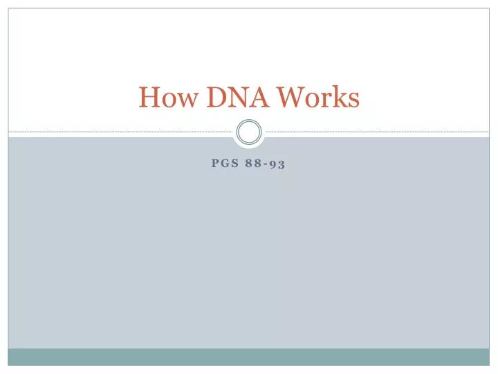 how dna works