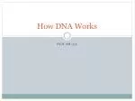 Unlocking the Secrets of DNA: From Code to Protein Synthesis and Genetic Engineering - slide 1