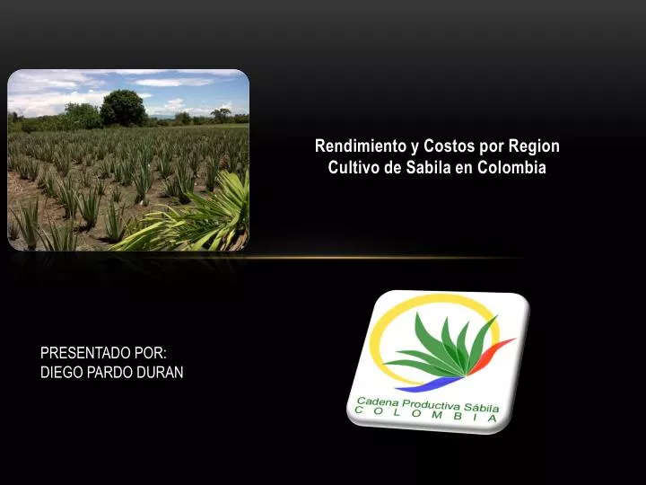 rendimiento y costos por region cultivo de sabila en colombia