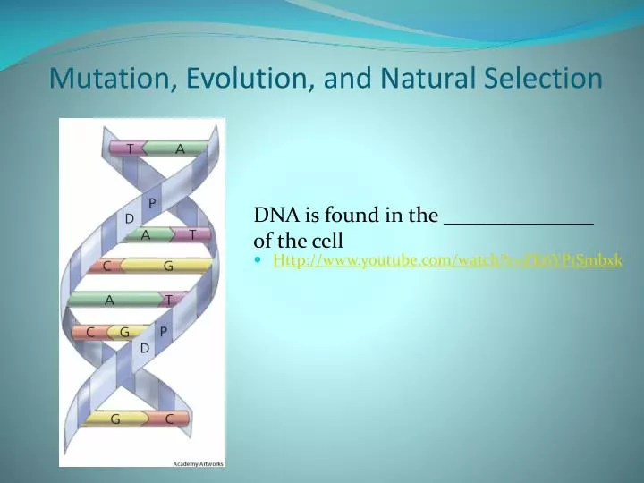 mutation evolution and natural selection