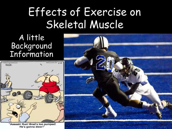 effects of exercise on skeletal muscle