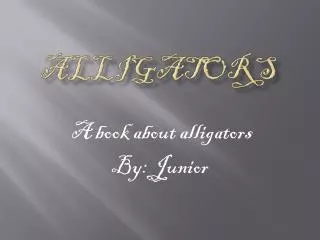 alligators