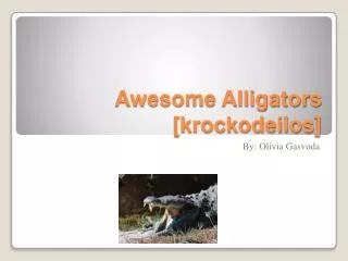 Awesome Alligators [ krockodeilos ]