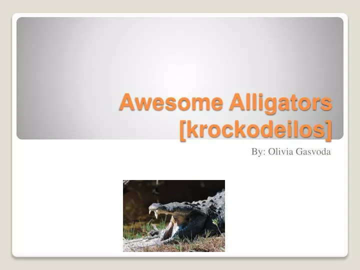 awesome alligators krockodeilos