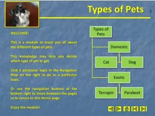 WELCOME! This is a module to teach you all about the different types of pets.