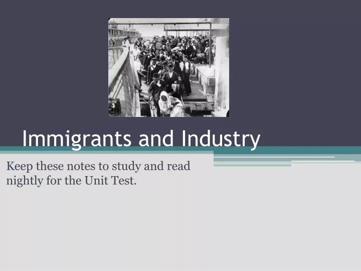 immigrants and industry