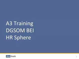 A3 Training DGSOM BEI HR Sphere