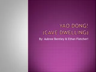 Yao dong! (cave dwelling)