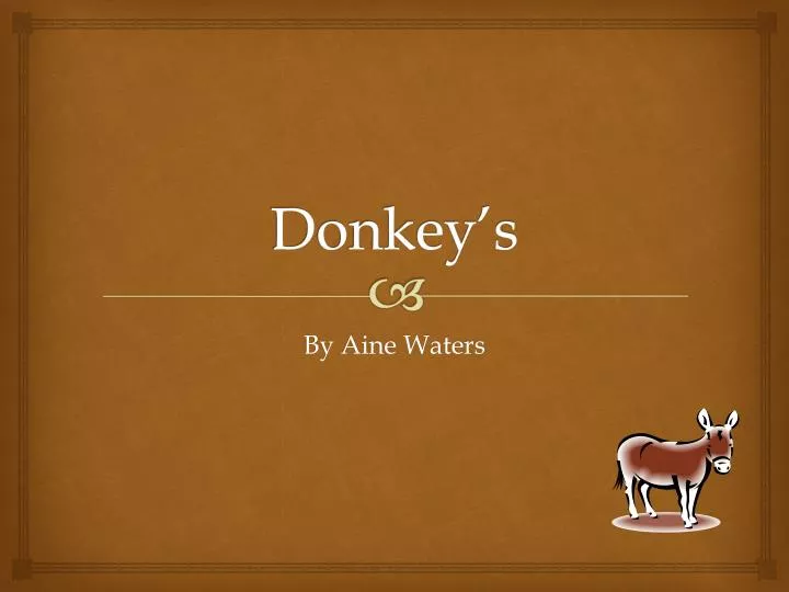 donkey s