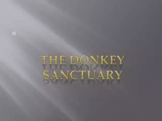 The donkey sanctuary
