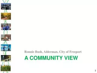 A community View