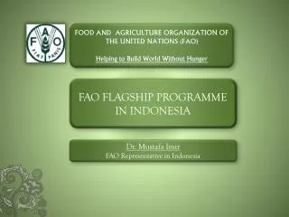 FAO FLAGSHIP PROGRAMME IN INDONESIA