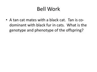 bell work