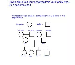 How to figure out your genotype from your family tree... Do a pedigree chart
