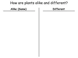 How are plants alike and different?