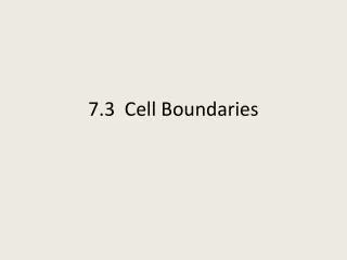 7.3 Cell Boundaries