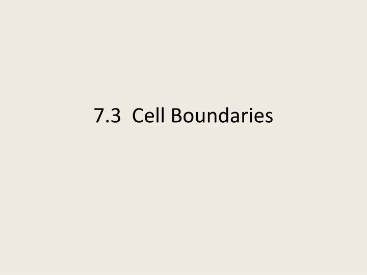 7 3 cell boundaries