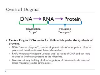 Central Dogma