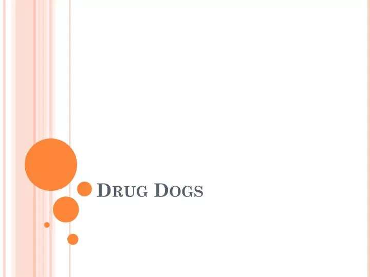 drug dogs