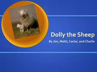 Dolly the Sheep