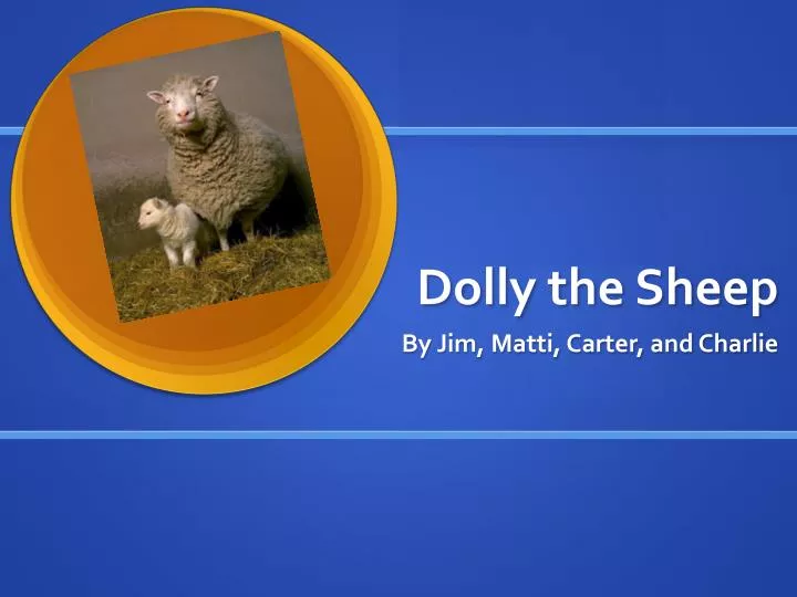 dolly the sheep