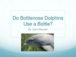 Do Bottlenose Dolphins U se a Bottle ?