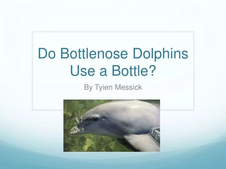 do bottlenose dolphins u se a bottle
