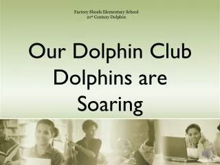 Our Dolphin Club Dolphins are Soaring
