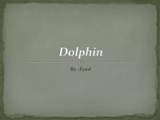 Dolphin